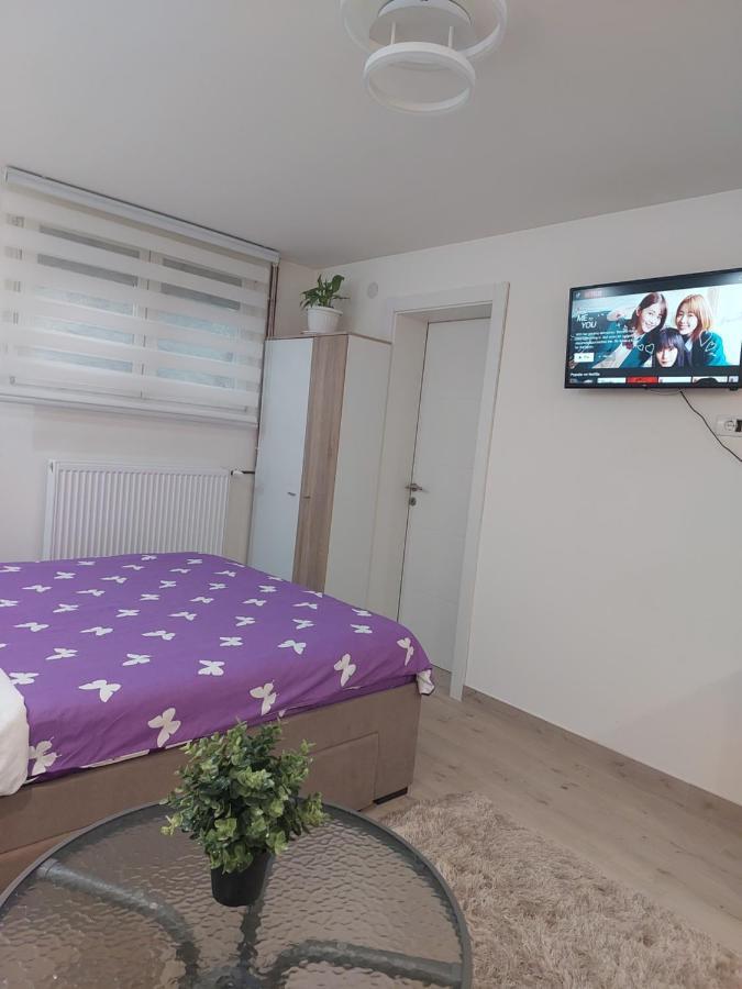 Apartman Zivkovic Leskovac  Zewnętrze zdjęcie