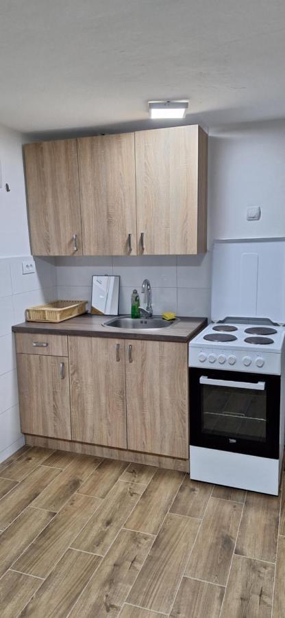 Apartman Zivkovic Leskovac  Zewnętrze zdjęcie