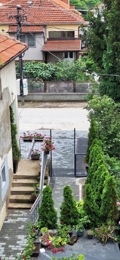 Apartman Zivkovic Leskovac  Zewnętrze zdjęcie