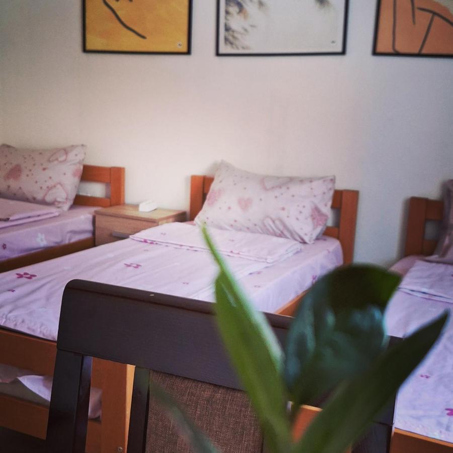 Apartman Zivkovic Leskovac  Zewnętrze zdjęcie